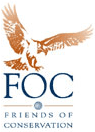 logo foc